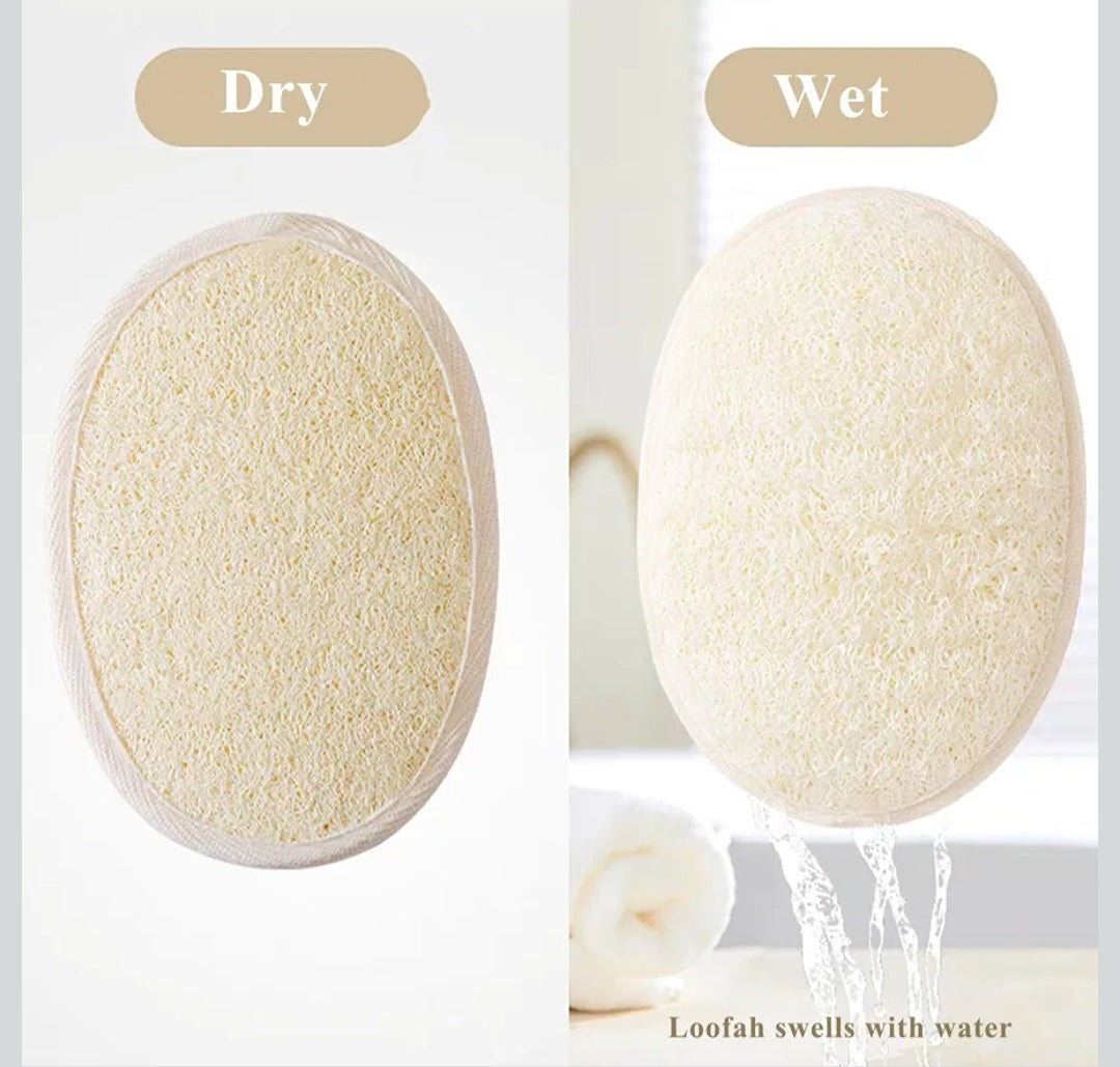Soap Loofah Sponge