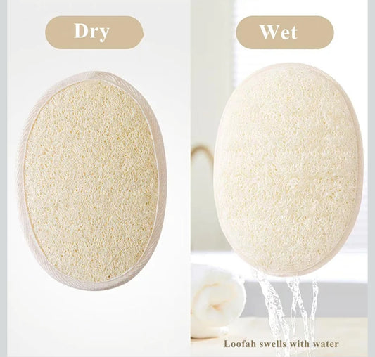Soap Loofah Sponge